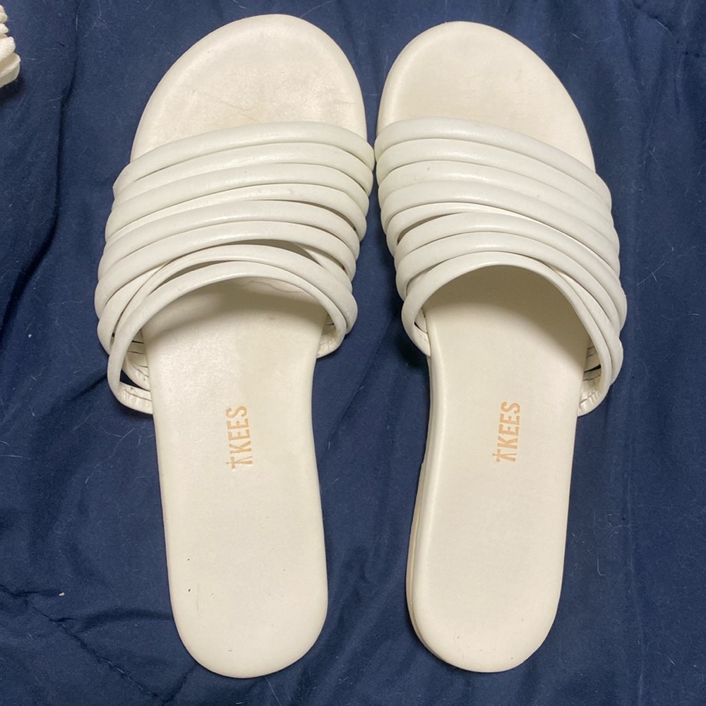 TKEES slides